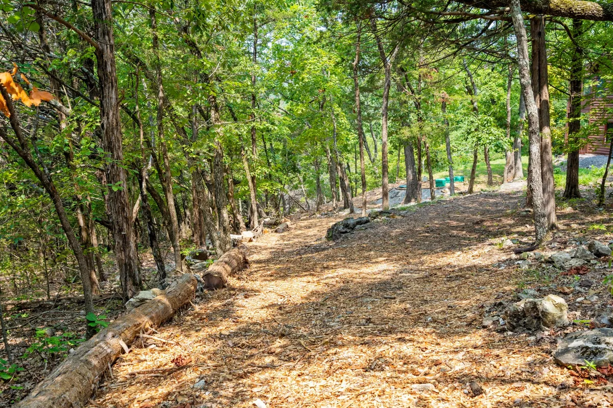 A peaceful exterior shot featuring a wooded pathway winding through dense trees and natural landscape. The setting is serene and ideal for daytime adventures like hiking and wildlife observation.